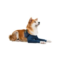 MPS-TAZ2 Vorderpfotenschutz -Optimal Tierbedarf Geschäft mps taz2 voorpootmouwtjes 167446 0500 none