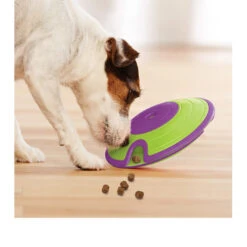 Nina Ottosson Dog Treat Maze -Optimal Tierbedarf Geschäft nina ottosson dog treat maze 96110 0500 none