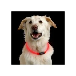 Nite Ize NiteHowl LED Safety Necklace -Optimal Tierbedarf Geschäft nite ize nitehowl led safety necklace 89526 0500 none