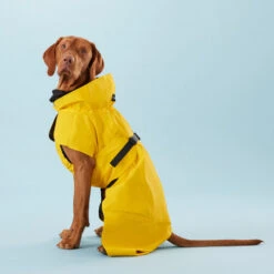 PAIKKA Visibility Raincoat Lite Yellow -Optimal Tierbedarf Geschäft paikka visibility raincoat lite yellow 217726 0500 none