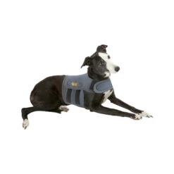 Petlife KarmaWrap Für Hunde -Optimal Tierbedarf Geschäft petlife karmawrap hond 154186 0500 none