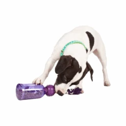 PetSafe Tug-a-Jug -Optimal Tierbedarf Geschäft petsafe tug a jug 216335 0500 none