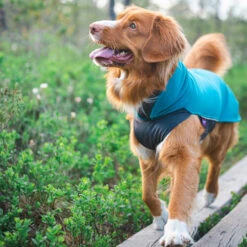 Pomppa Jumppa -Optimal Tierbedarf Geschäft pomppa jumppa 190573 0500 none