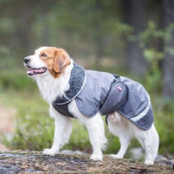 Pomppa Perus Hundejacke -Optimal Tierbedarf Geschäft pomppa perus hondenjas 215732 0500 none