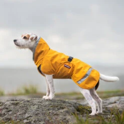Pomppa Perus Hundejacke -Optimal Tierbedarf Geschäft pomppa perus hondenjas 215735 0500 none
