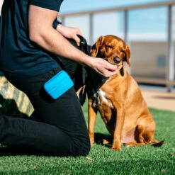 Popware Pooch Pouch Treatbag -Optimal Tierbedarf Geschäft popware pooch pouch treatbag 164698 0500 none