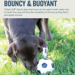 Planet Dog Orbee-Tuff Soccer Ball -Optimal Tierbedarf Geschäft prod 14590 203615 0500 none