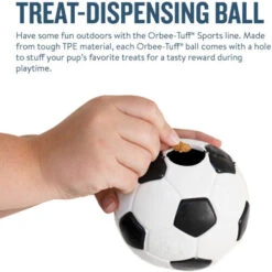 Planet Dog Orbee-Tuff Soccer Ball -Optimal Tierbedarf Geschäft prod 14590 203618 0500 none