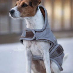 Kentucky Hundemantel Reflective & Waterrepellent -Optimal Tierbedarf Geschäft prod 15746 219013 0500 none