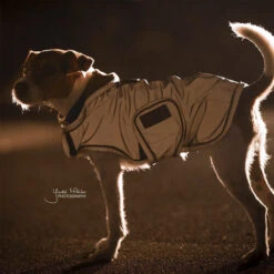 Kentucky Hundemantel Reflective & Waterrepellent -Optimal Tierbedarf Geschäft prod 15746 219015 0500 none