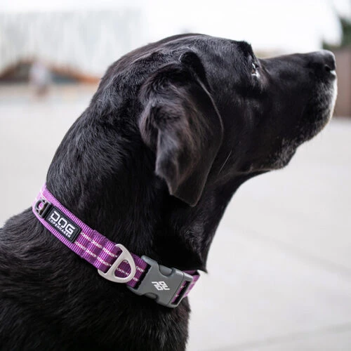 DOG Copenhagen Urban Style Halsband 10 DOG Copenhagen Urban Style Halsband – Bild 10