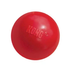 KONG Ball -Optimal Tierbedarf Geschäft product kong ball none 4 1466058812 69915