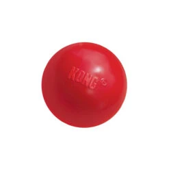 KONG Ball -Optimal Tierbedarf Geschäft product kong ball none 4 1466058813 69918