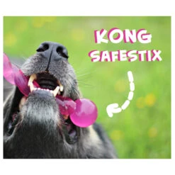 KONG Safestix 6 KONG Safestix -Optimal Tierbedarf Geschäft product kong safestix none 4 1458633926 66969
