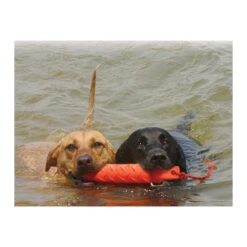 KONG Training Dummy -Optimal Tierbedarf Geschäft product kong training dummy none 4 1469627104 71971