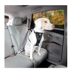 Kurgo Enhanced Tru-Fit Smart Harness -Optimal Tierbedarf Geschäft product kurgo tru fit smart harness none 4 1476952073 79204