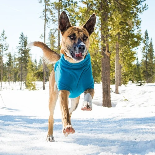 Ruffwear Climate Changer Fleece Jacket – Bild 7