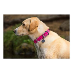 Ruffwear Headwater Collar -Optimal Tierbedarf Geschäft product ruffwear headwater collar none 4 1487775433 83755