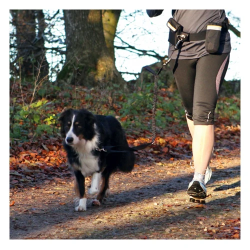 Trixie Bauchgurt Mit Leine – Bild 2