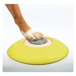 Trixie Dog Activity Memory Trainer -Optimal Tierbedarf Geschäft product trixie memory trainer strategy game none 4 1478600542 79912