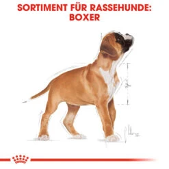 Royal Canin Boxer Puppy - Hundefutter -Optimal Tierbedarf Geschäft royal canin boxer puppy hondenvoer 137491 0500 none