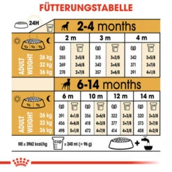 Royal Canin Boxer Puppy - Hundefutter -Optimal Tierbedarf Geschäft royal canin boxer puppy hondenvoer 137500 0500 none