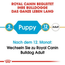 Royal Canin Bulldog Puppy - Hundefutter -Optimal Tierbedarf Geschäft royal canin bulldog puppy hondenvoer 137785 0500 none