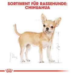 Royal Canin Chihuahua Adult - Hundefutter -Optimal Tierbedarf Geschäft royal canin chihuahua adult hondenvoer 137968 0500 none