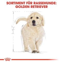 Royal Canin Golden Retriever Puppy - Hundefutter -Optimal Tierbedarf Geschäft royal canin golden retriever puppy hondenvoer 138958 0500 none