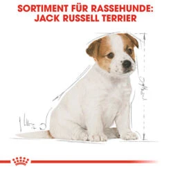 Royal Canin Jack Russell Terrier Puppy - Hundefutter -Optimal Tierbedarf Geschäft royal canin jack russell terrier puppy hondenvoer 139318 0500 none