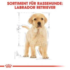 Royal Canin Labrador Retriever Puppy - Hundefutter -Optimal Tierbedarf Geschäft royal canin labrador retriever puppy hondenvoer 139438 0500 none