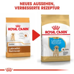 Royal Canin Labrador Retriever Puppy - Hundefutter -Optimal Tierbedarf Geschäft royal canin labrador retriever puppy hondenvoer 139456 0500 none