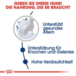 Royal Canin Maxi Ageing 8+ - Hundefutter 10 Royal Canin Maxi Ageing 8+ - Hundefutter -Optimal Tierbedarf Geschäft royal canin maxi ageing 8 hondenvoer 128705 0500 none