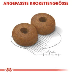 Royal Canin Maxi Ageing 8+ - Hundefutter 12 Royal Canin Maxi Ageing 8+ - Hundefutter -Optimal Tierbedarf Geschäft royal canin maxi ageing 8 hondenvoer 128714 0500 none