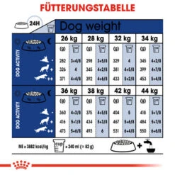 Royal Canin Maxi Ageing 8+ - Hundefutter 15 Royal Canin Maxi Ageing 8+ - Hundefutter -Optimal Tierbedarf Geschäft royal canin maxi ageing 8 hondenvoer 128723 0500 none
