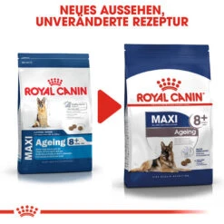 Royal Canin Maxi Ageing 8+ - Hundefutter 13 Royal Canin Maxi Ageing 8+ - Hundefutter -Optimal Tierbedarf Geschäft royal canin maxi ageing 8 hondenvoer 128732 0500 none