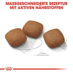 Royal Canin Maxi Joint Care - Hundefutter -Optimal Tierbedarf Geschäft royal canin maxi joint care hondenvoer 132551 0500 none