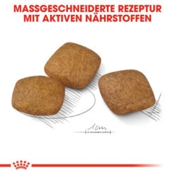 Royal Canin Maxi Relax Care - Hundefutter -Optimal Tierbedarf Geschäft royal canin maxi relax care hondenvoer 131321 0500 none