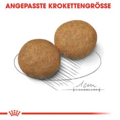 Royal Canin Medium Adult - Hundefutter -Optimal Tierbedarf Geschäft royal canin medium adult hondenvoer 128546 0500 none