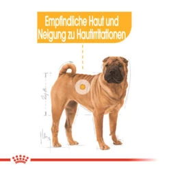 Royal Canin Medium Dermacomfort - Hundefutter -Optimal Tierbedarf Geschäft royal canin medium dermacomfort hondenvoer 143273 0500 none