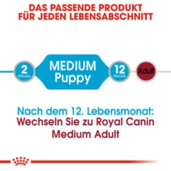 Royal Canin Medium Puppy Wet -Optimal Tierbedarf Geschäft royal canin medium puppy wet 129245 0500 none
