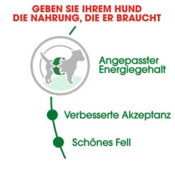 Royal Canin Mini Adult - Hundefutter 10 Royal Canin Mini Adult - Hundefutter -Optimal Tierbedarf Geschäft royal canin mini adult hondenvoer 128648 0500 none