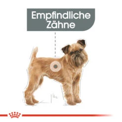 Royal Canin Mini Dental Care - Hundefutter -Optimal Tierbedarf Geschäft royal canin mini dental care hondenvoer 130985 0500 none