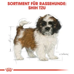 Royal Canin Shih Tzu Puppy - Hundefutter -Optimal Tierbedarf Geschäft royal canin shih tzu junior hondenvoer 140411 0500 none