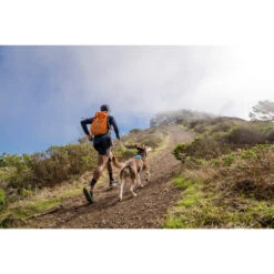 Ruffwear Hi & Light Harness -Optimal Tierbedarf Geschäft ruffwear hi light harness 196016 0500 none