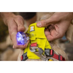 Ruffwear Hi & Light Harness -Optimal Tierbedarf Geschäft ruffwear hi light harness 196031 0500 none
