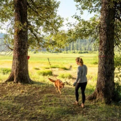 Ruffwear Knot-a-Hitch -Optimal Tierbedarf Geschäft ruffwear knot a hitch 124643 0500 none