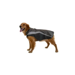 Ruffwear Lumenglow Hi-Vis Dog Jacket -Optimal Tierbedarf Geschäft ruffwear lumenglow hi vis dog jacket 217205 0500 none