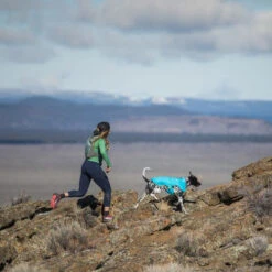 Ruffwear Wind Sprinter Jacket -Optimal Tierbedarf Geschäft ruffwear wind sprinter jacket 124694 0500 none