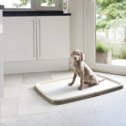 Savic Puppy Trainer + Pads -Optimal Tierbedarf Geschäft savic puppy trainer pads 163498 0500 none